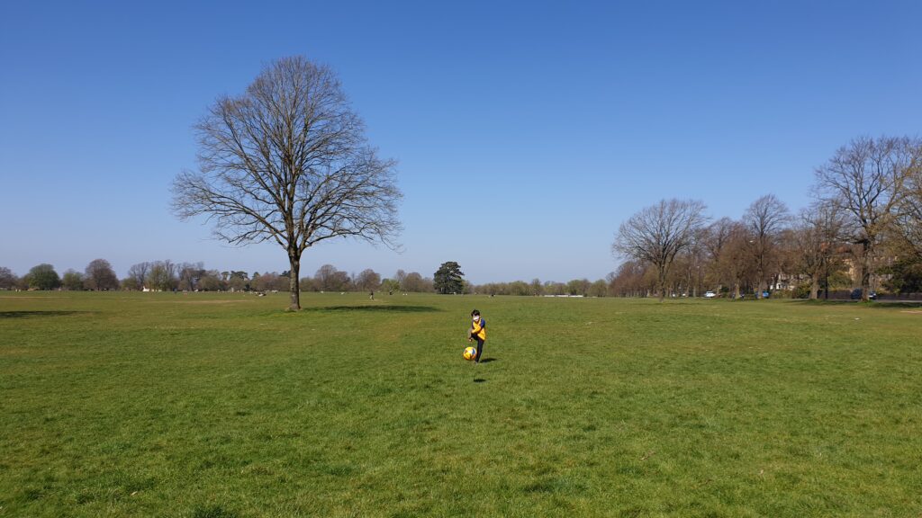 Durdham park